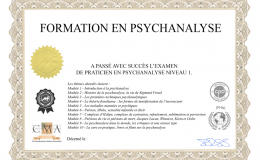 Niveau 1 — Psychanalyse